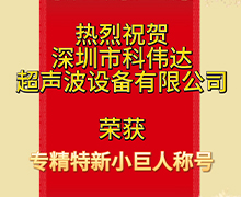 蜜桃人妻无码视频：榮獲深圳市第五批專精特新“小巨人”企業榮譽稱號